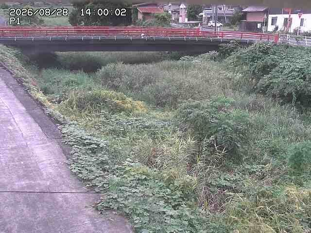 細見川１2026/08/28 17:00:00