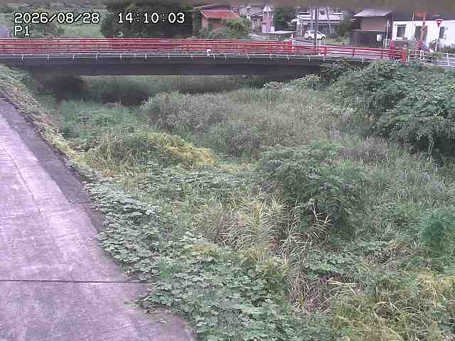 細見川１2026/08/28 17:00:00