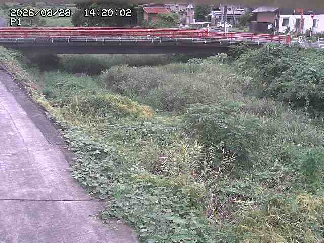 細見川１2026/08/28 17:00:00