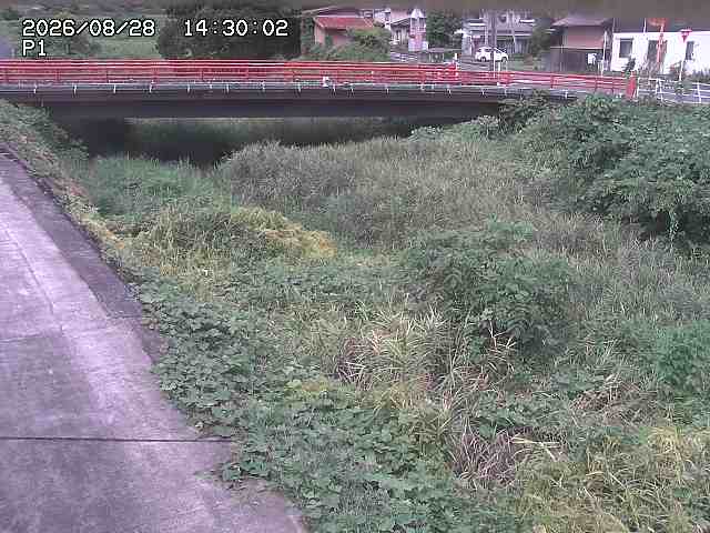 細見川１2026/08/28 17:00:00