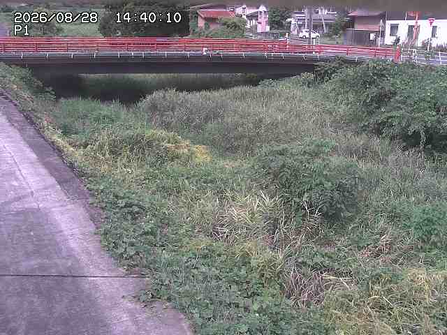細見川１2026/08/28 17:00:00
