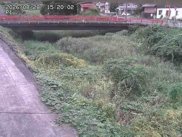細見川１2026/08/28 17:00:00