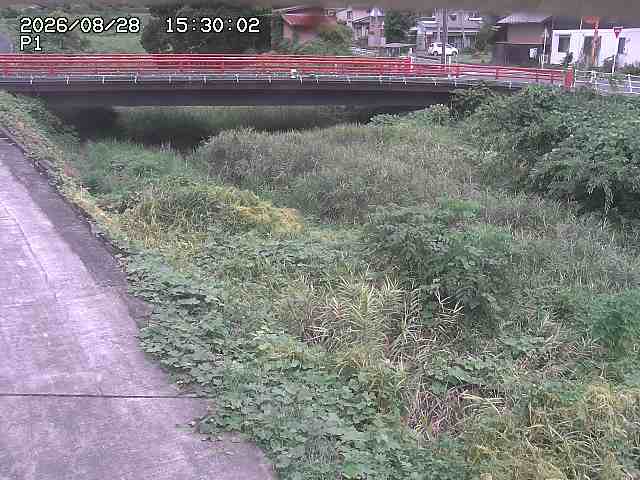 細見川１2026/08/28 17:00:00