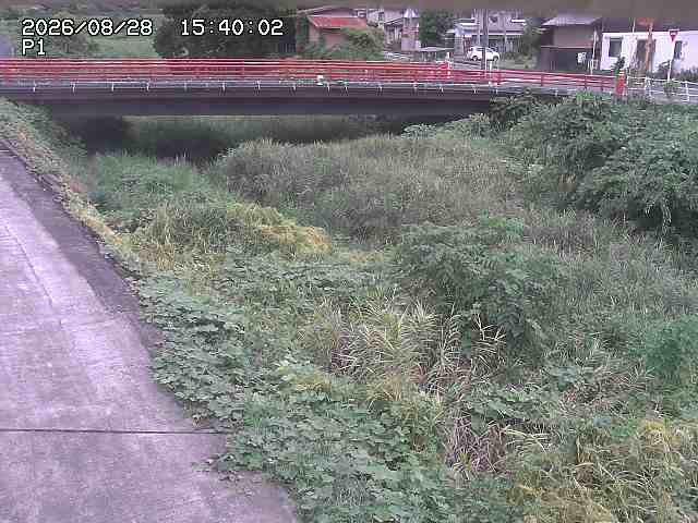 細見川１2026/08/28 17:00:00