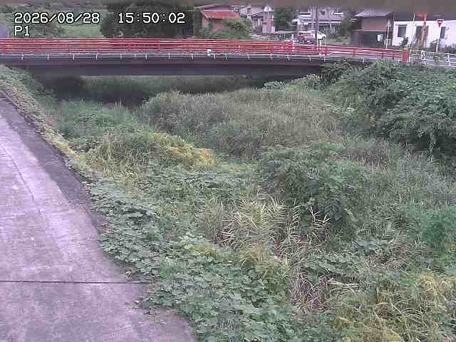 細見川１2026/08/28 17:00:00