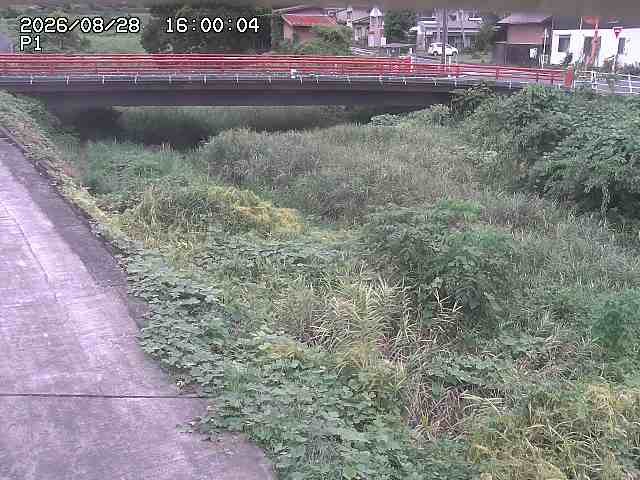 細見川１2026/08/28 17:00:00