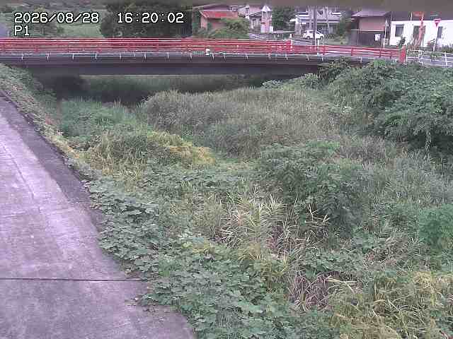 細見川１2026/08/28 17:00:00