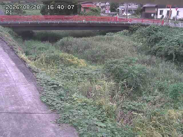 細見川１2026/08/28 17:00:00