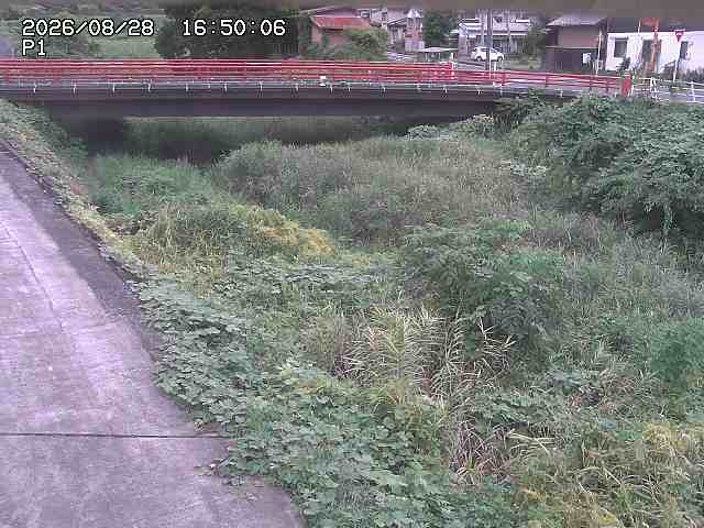 細見川１2026/08/28 17:00:00