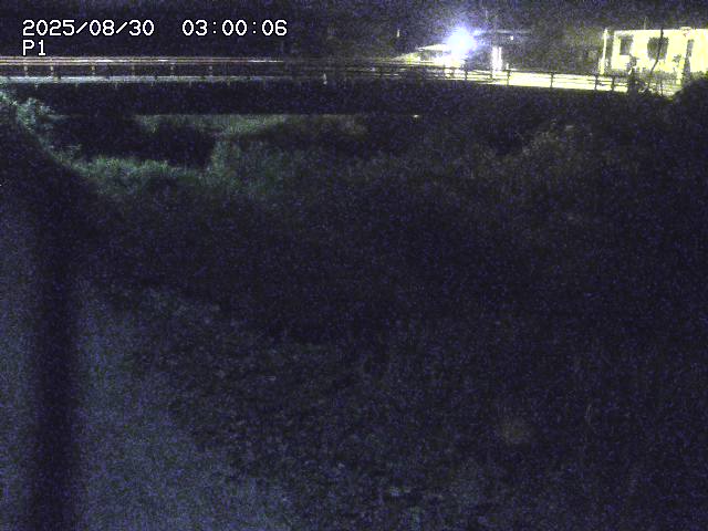 細見川１2025/08/31 1:00:00