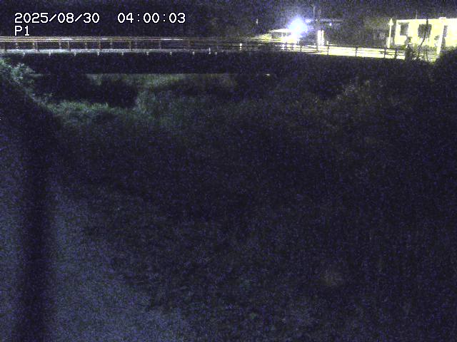 細見川１2025/08/31 1:00:00