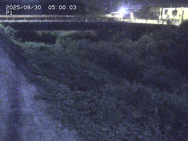 細見川１2025/08/31 1:00:00