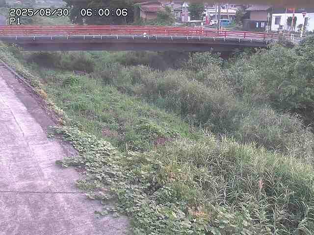 細見川１2025/08/31 1:00:00
