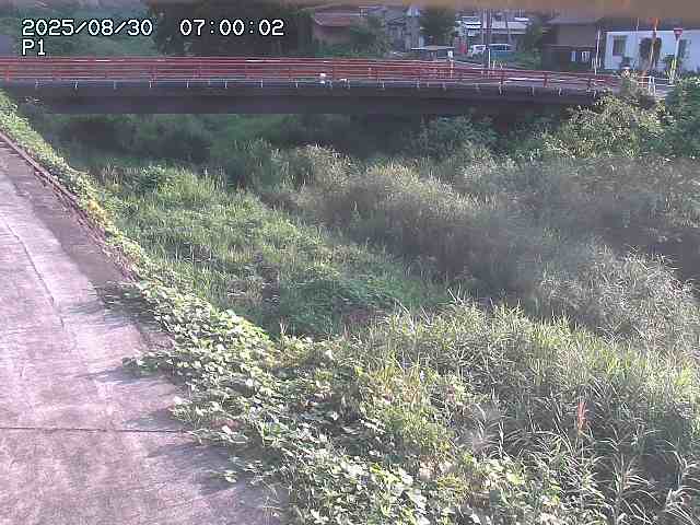 細見川１2025/08/31 1:00:00