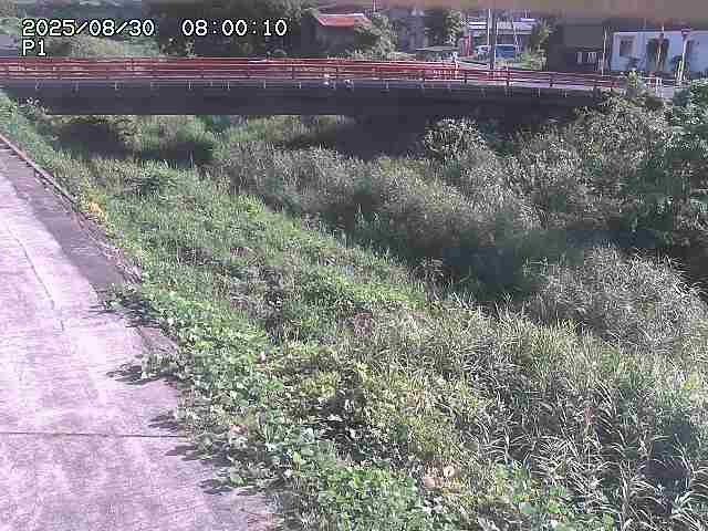 細見川１2025/08/31 1:00:00