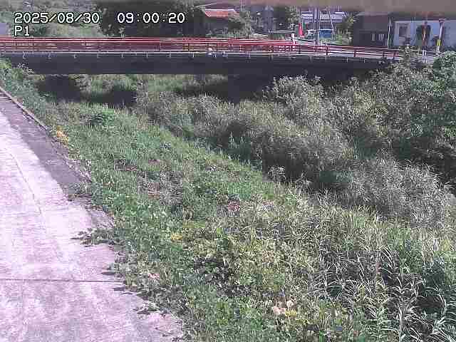 細見川１2025/08/31 1:00:00