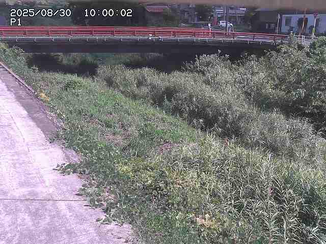 細見川１2025/08/31 1:00:00