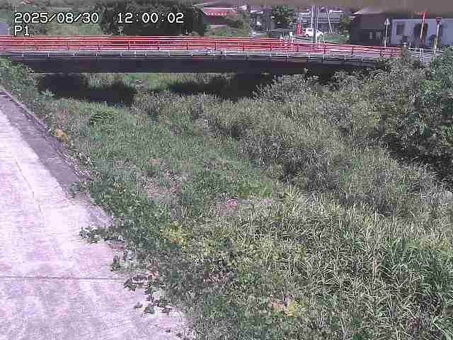 細見川１2025/08/31 1:00:00