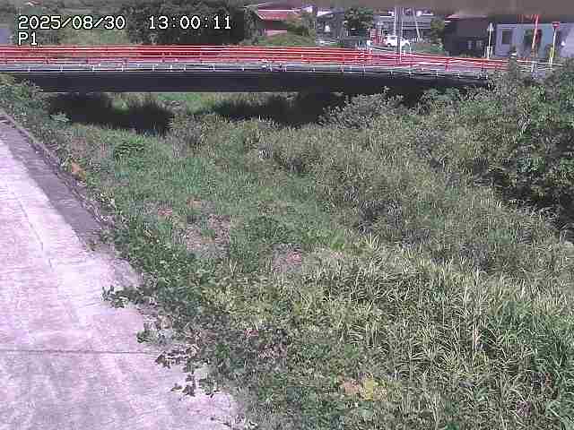 細見川１2025/08/31 1:00:00