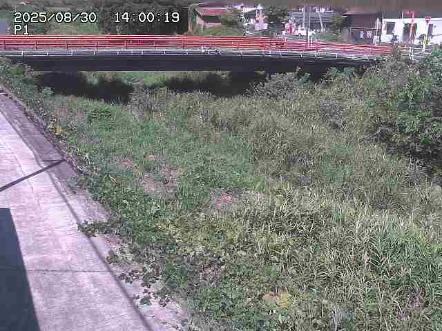 細見川１2025/08/31 1:00:00