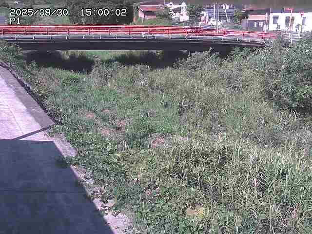 細見川１2025/08/31 1:00:00