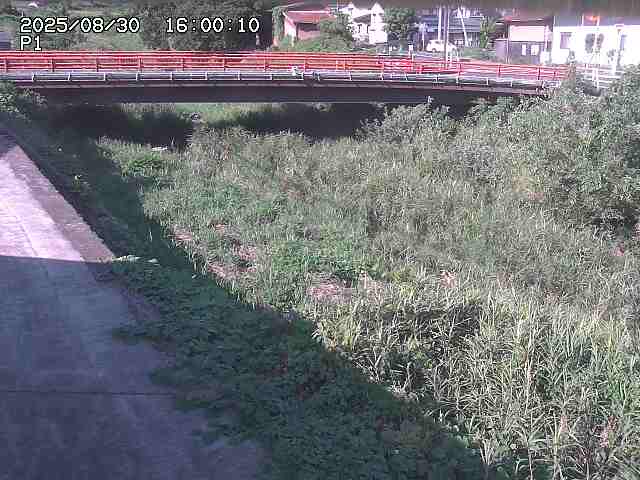 細見川１2025/08/31 1:00:00