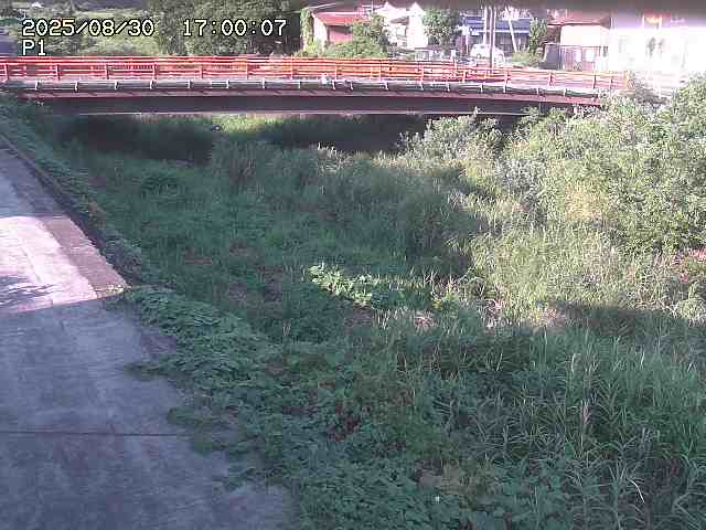 細見川１2025/08/31 1:00:00