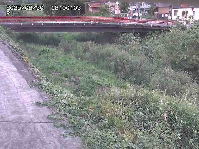 細見川１2025/08/31 1:00:00