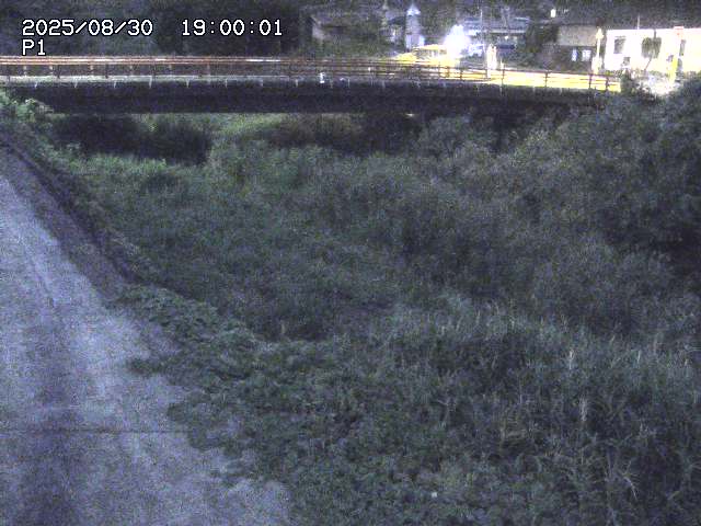 細見川１2025/08/31 1:00:00
