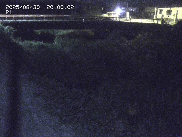 細見川１2025/08/31 1:00:00
