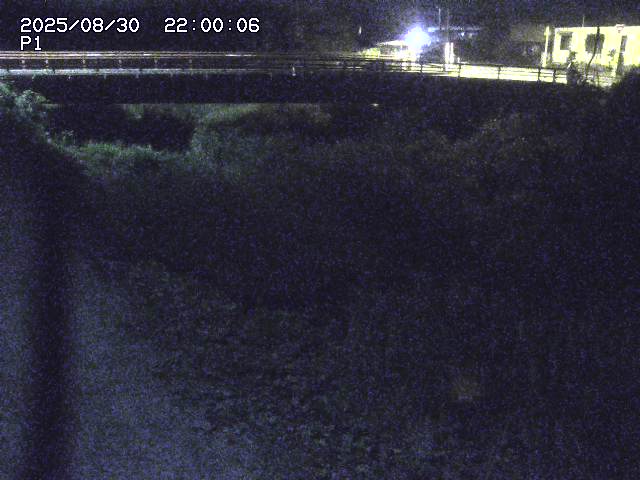 細見川１2025/08/31 1:00:00