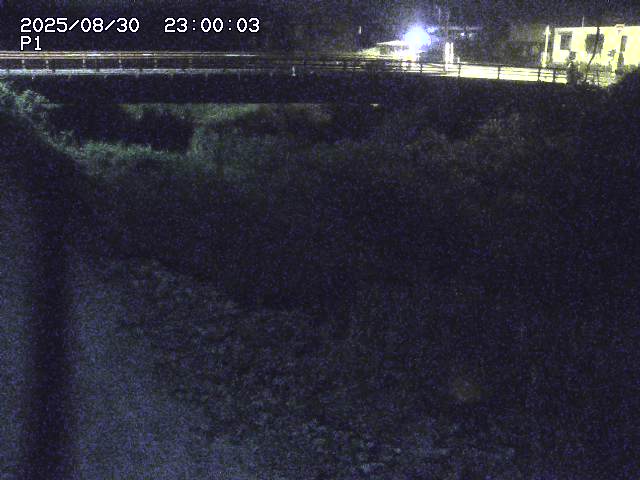 細見川１2025/08/31 1:00:00