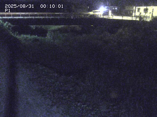 細見川１2025/08/31 1:00:00