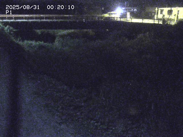 細見川１2025/08/31 1:00:00