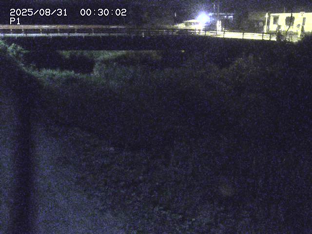 細見川１2025/08/31 1:00:00