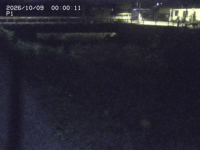 細見川１2026/10/09 20:00:00