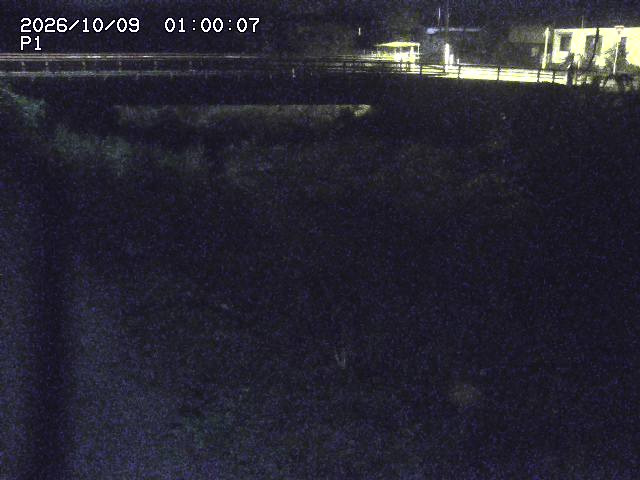 細見川１2026/10/09 20:00:00
