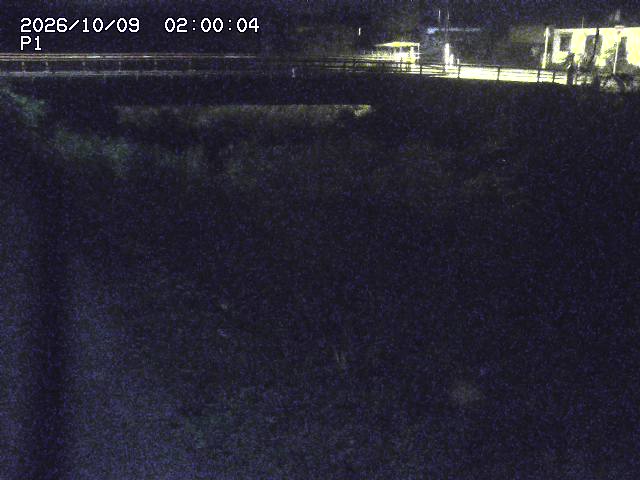 細見川１2026/10/09 20:00:00