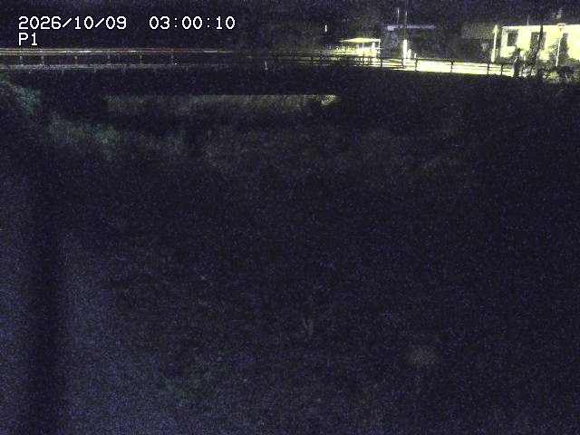 細見川１2026/10/09 20:00:00