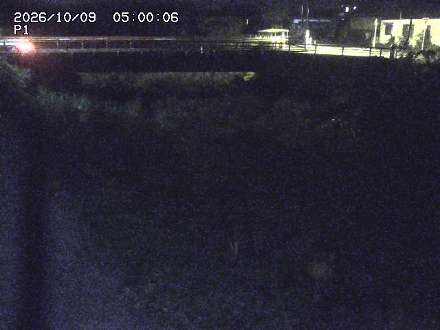 細見川１2026/10/09 20:00:00