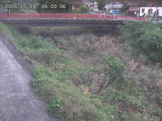 細見川１2026/10/09 20:00:00