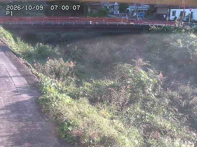 細見川１2026/10/09 20:00:00