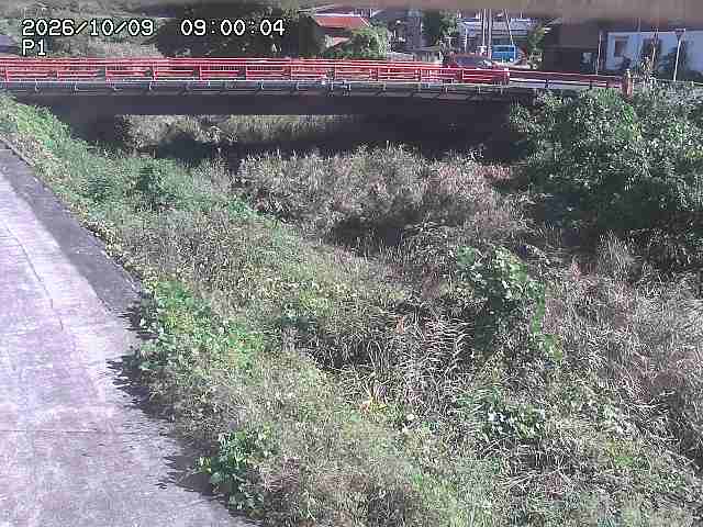 細見川１2026/10/09 20:00:00