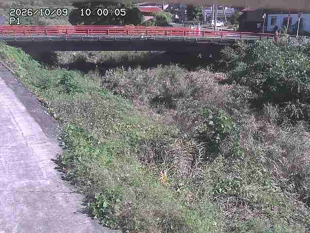 細見川１2026/10/09 20:00:00