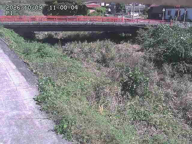 細見川１2026/10/09 20:00:00