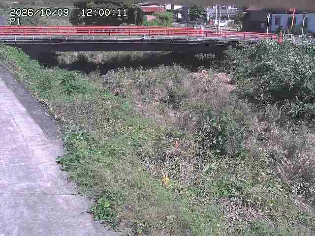 細見川１2026/10/09 20:00:00