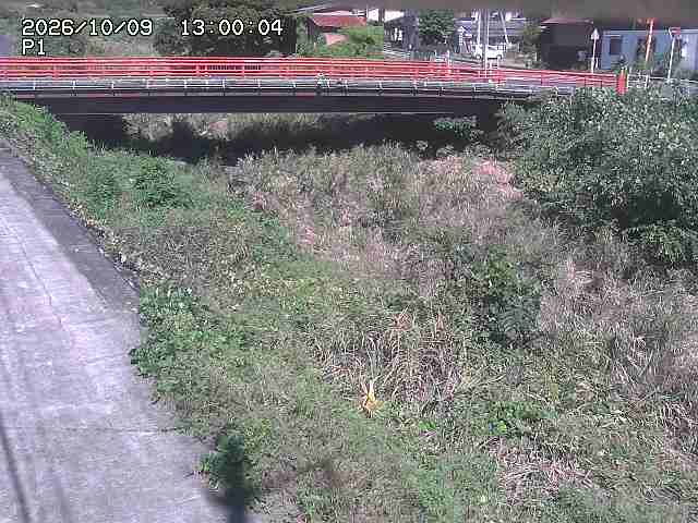 細見川１2026/10/09 20:00:00