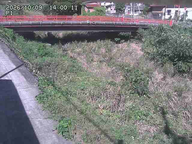 細見川１2026/10/09 20:00:00