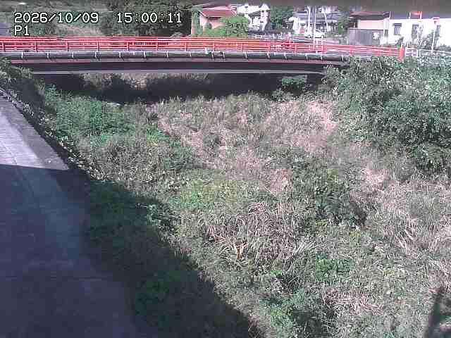 細見川１2026/10/09 20:00:00