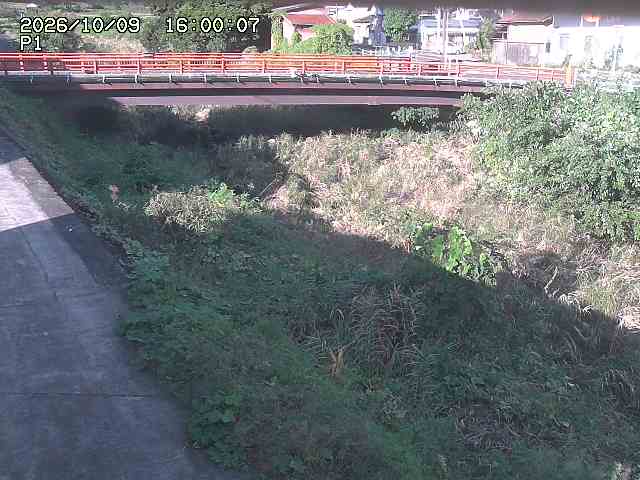 細見川１2026/10/09 20:00:00